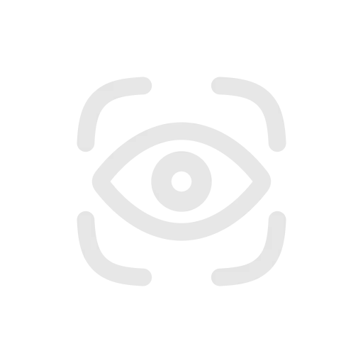 Binocular Cameras